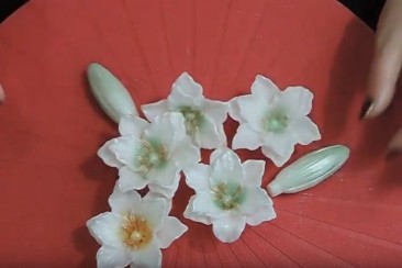 Наша на ЮТУБ видео про наши лилии!Мыльная тусовкаVS