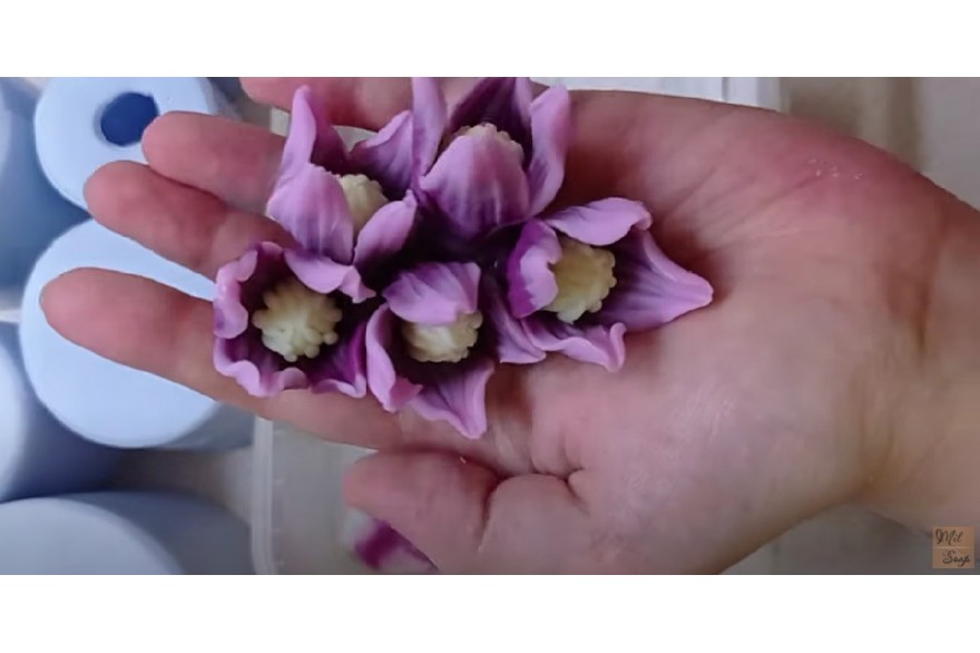 Клематисы, тюльпаны, розы Перфект: