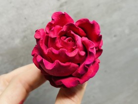 Роза "Красная барыня" № 3