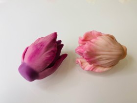 Форма Тюльпаны "Заря+Юность" полураскрытые