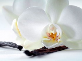 Отдушка "Белая орхидея" 30 мл