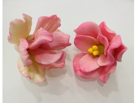Форма "Амариллис и цветок Розовые грёзы" набор