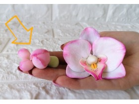 Форма "Орхидея Жемчужина" соцветие бутонов