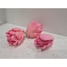Тюльпан розовый махровый № 3