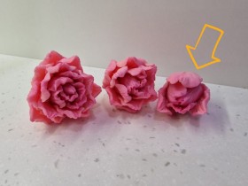 Тюльпан розовый махровый № 3