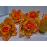 Розы "Марго" комплект из 5 форм