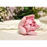 Набор форм "Тюльпаны Розовый зефир"