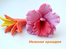 Форма цветок "Орхидея Нежная"